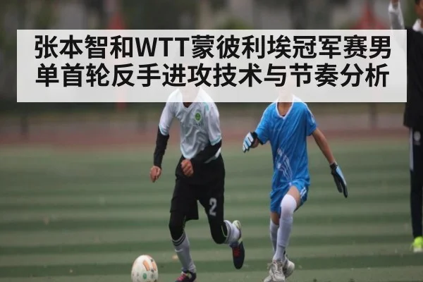 张本智和WTT蒙彼利埃冠军赛男单首轮反手进攻技术与节奏分析